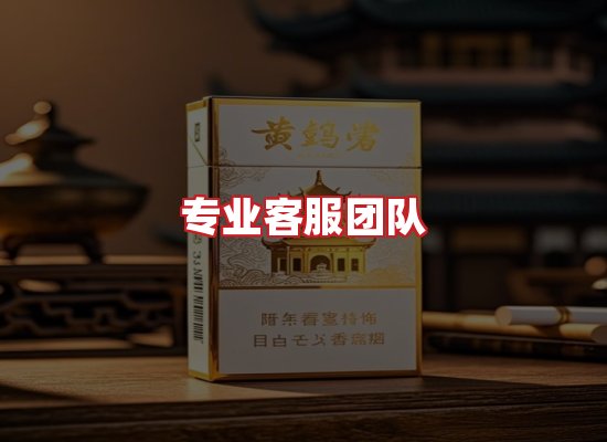 专业团队